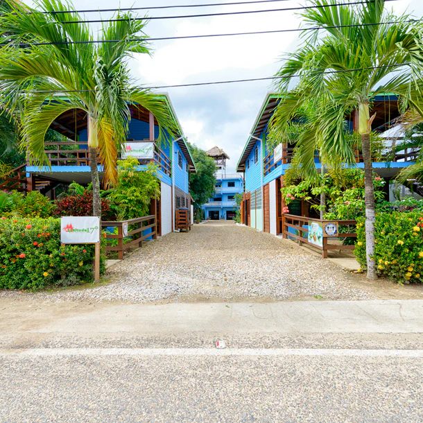 B3007: Oasis in the Heart of Hopkins!