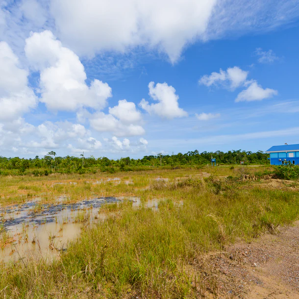 F1003: Commercial Acreage Lots Near Busy Highway