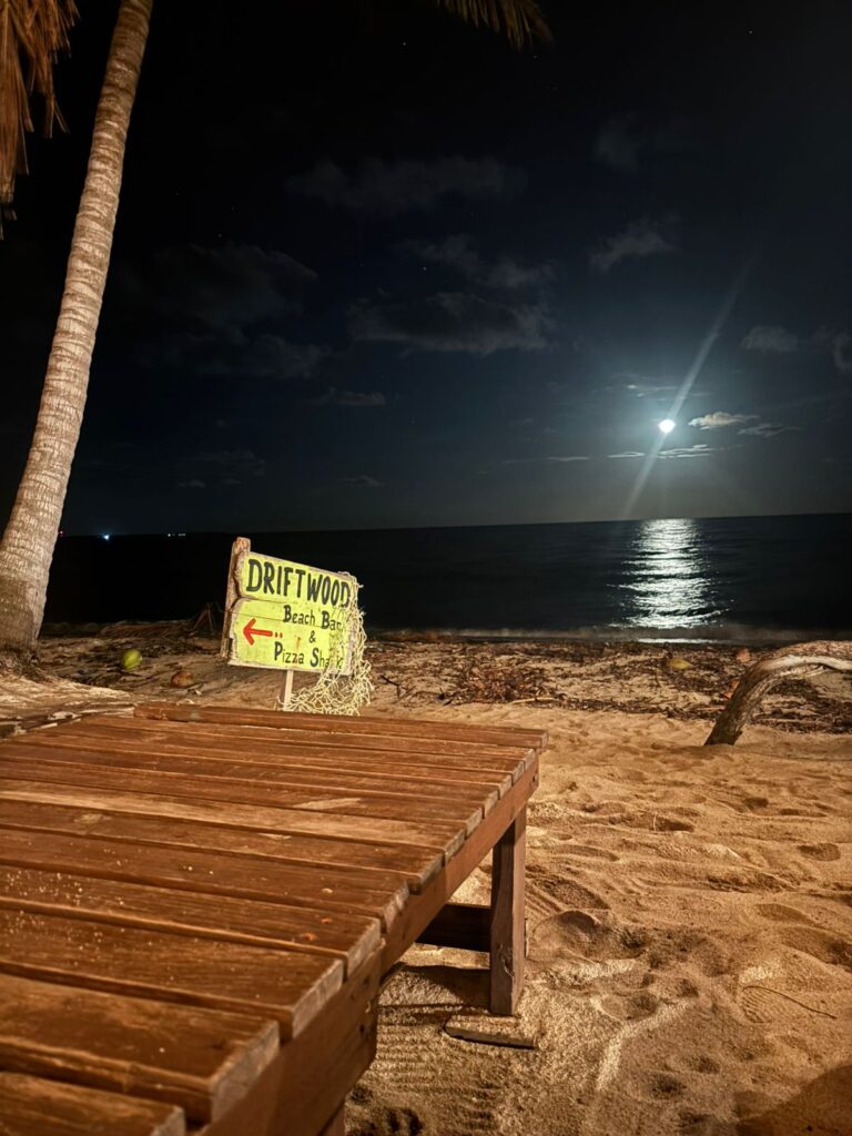 B3008: Driftwood Beach Bar & Pizza Shack – Hopkins, Belize