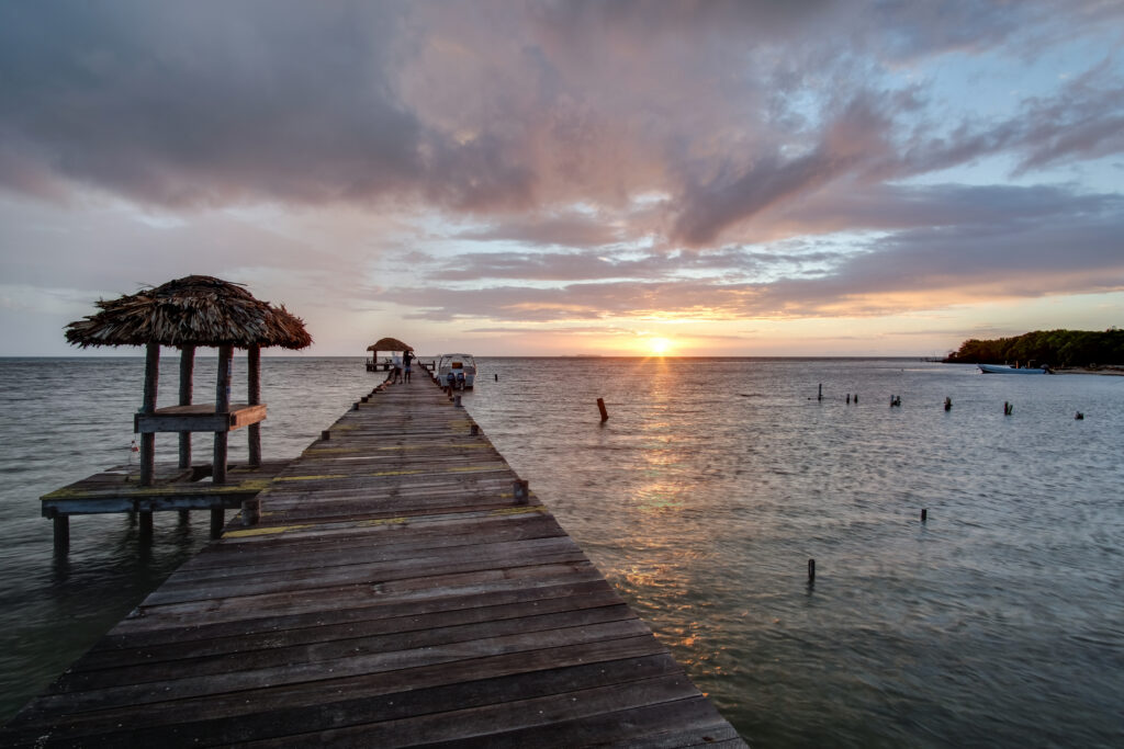l4204 – Island Oasis: Prime Interior Lot on Tobacco Caye