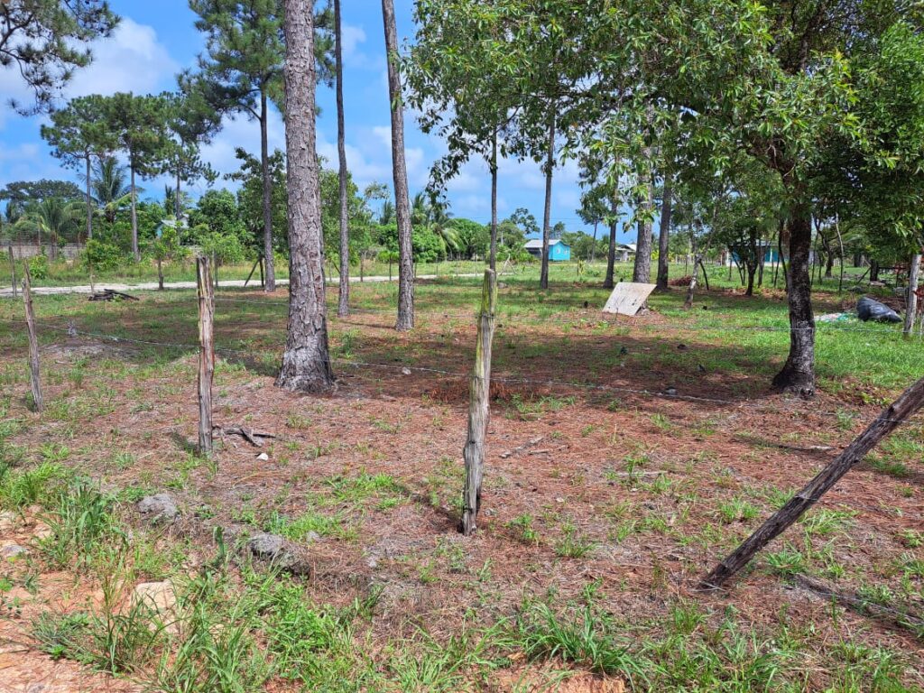 L4232 : Beautiful Corner Lot In Santa Cruz Village