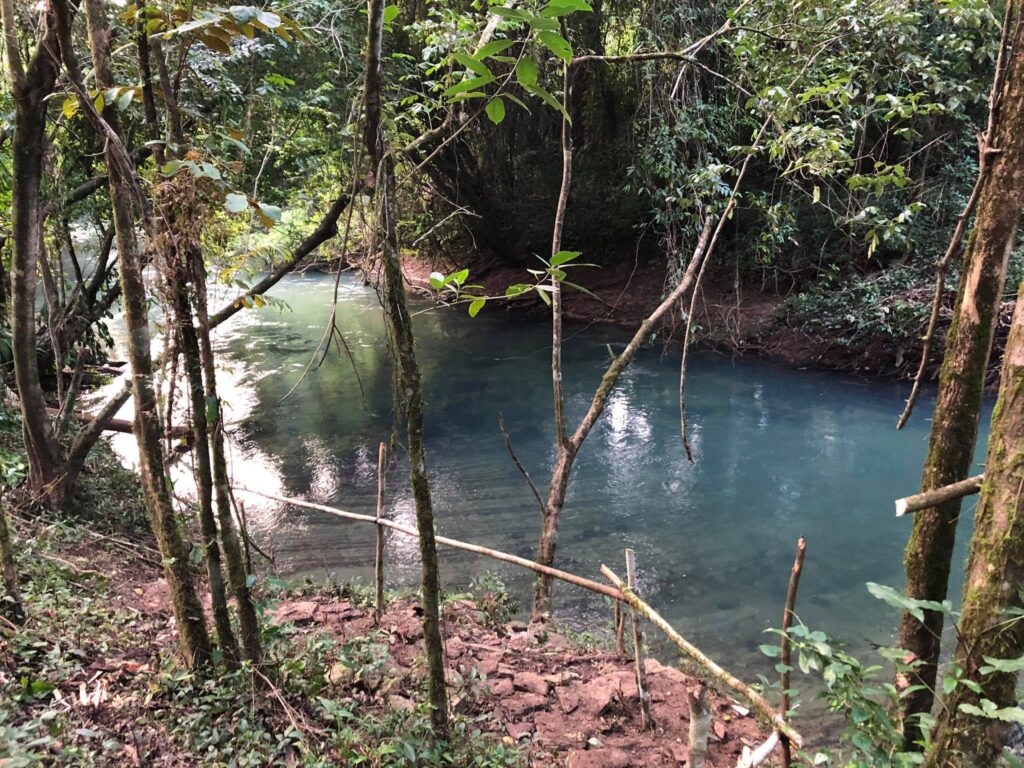 A4211 – Prime Jungle lot For Sale in Belize