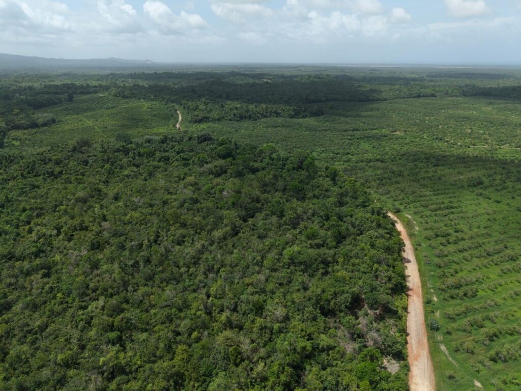 26 Acres – Multiple Building Sites Overlooking Orange Orchard