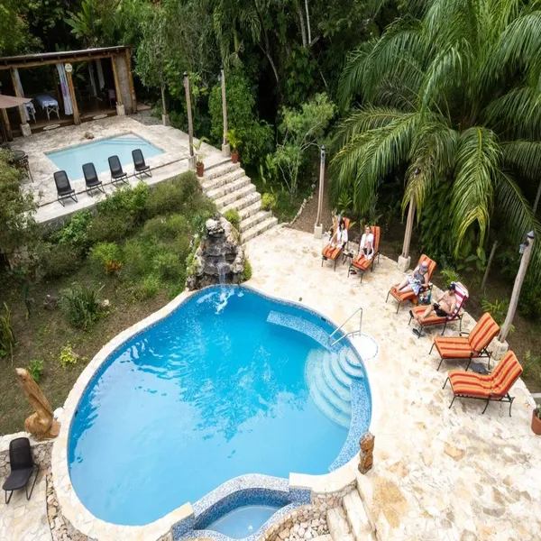 B4193 – Award Winning Jungle Lodge