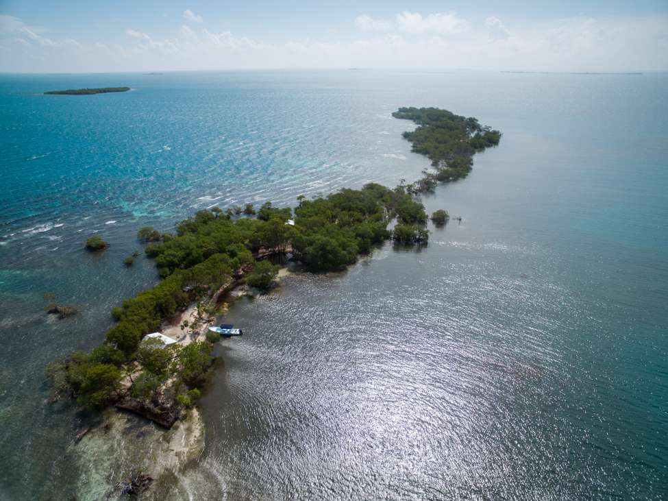 I4108 – Southern Belize Jewel – South Saddle Caye