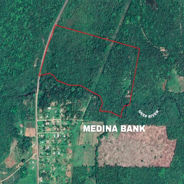 A4211 – Prime Jungle lot For Sale in Belize