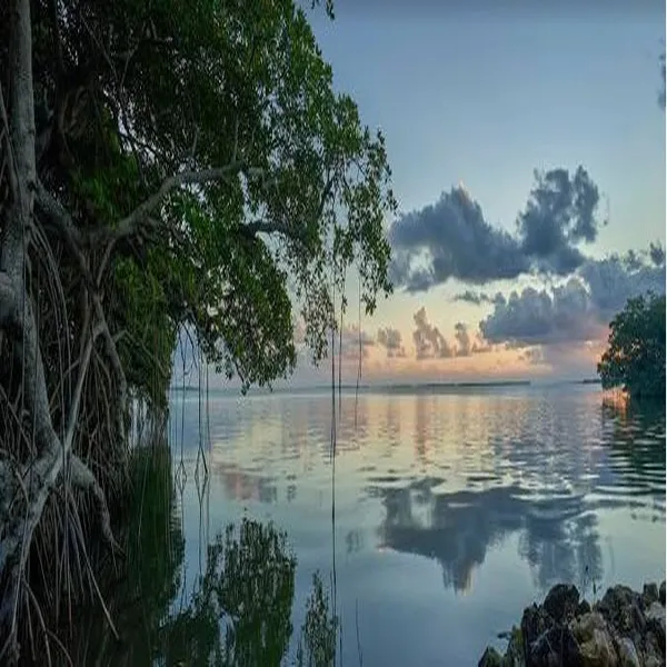 L4169 – River side Lots