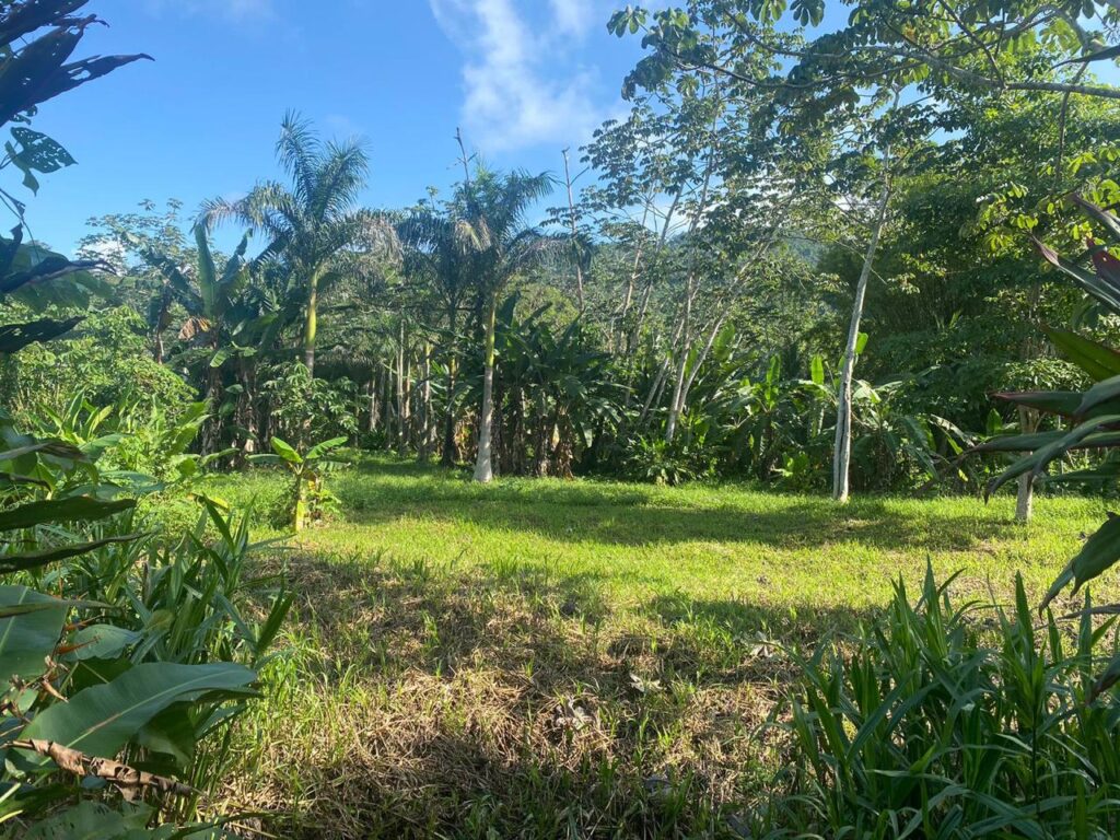 Exotic Farm on main road with water