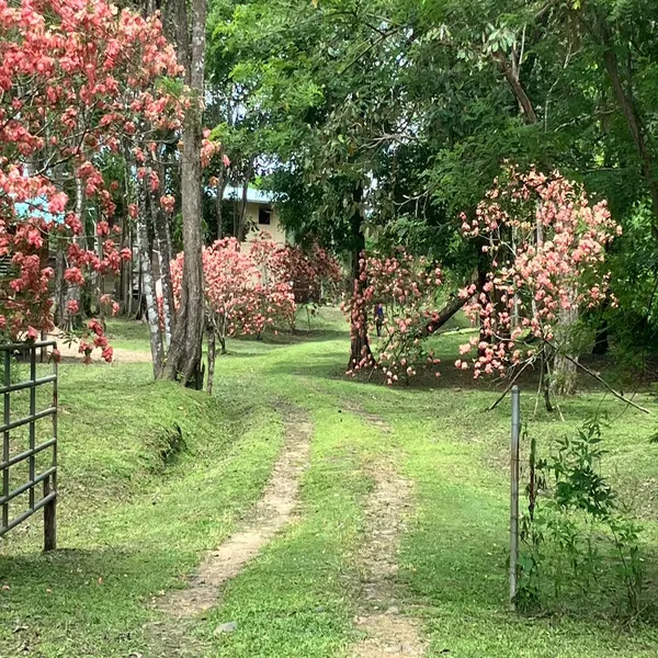 Your small off grid opportunity