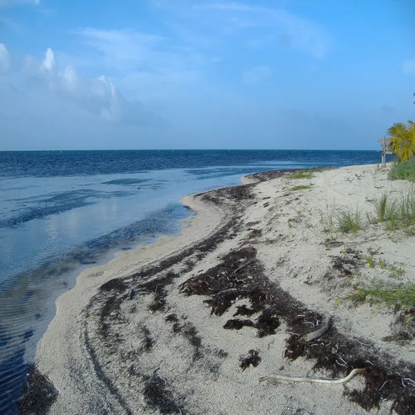 I4205: Your own beach lot on a remote island