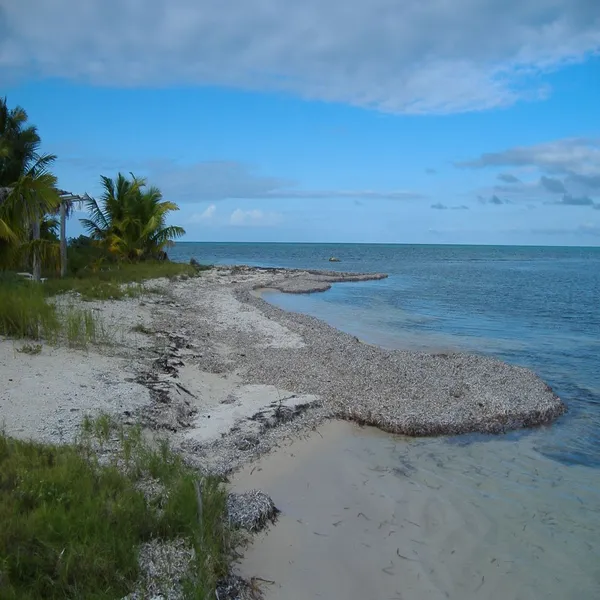 I4206: Private Lot on private island