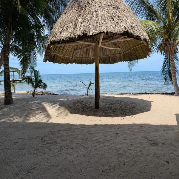 B4231: A rare find indeed commercial Beach front