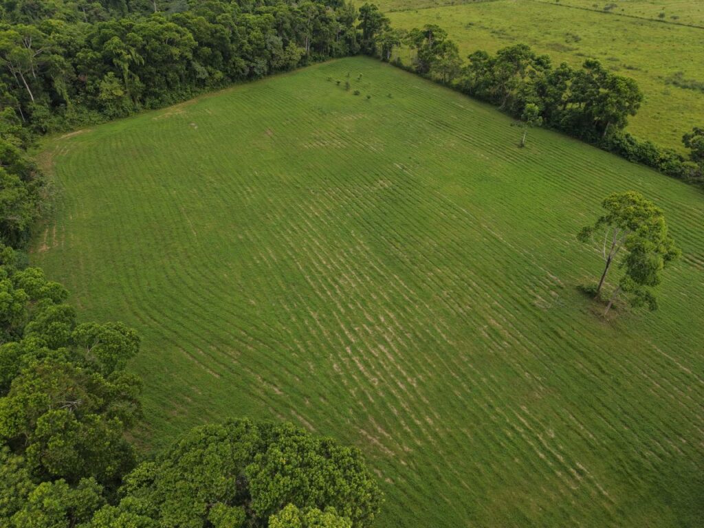 L1029:  8.5 Acres of Prime Belize Land – Space, Potential & Opportunity