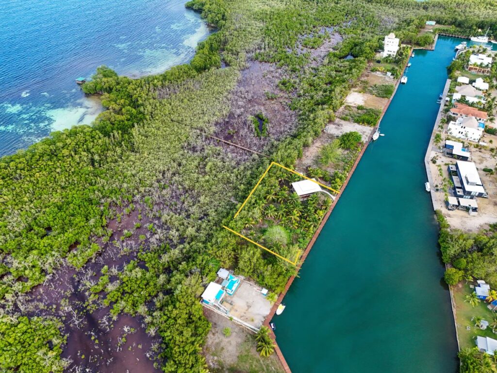 H5051: A Rare Double-Lot Island Retreat Just Minutes from Placencia Village